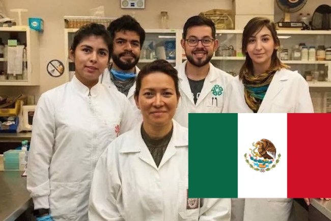 Científica Mexicana Erradica el VPH por completo